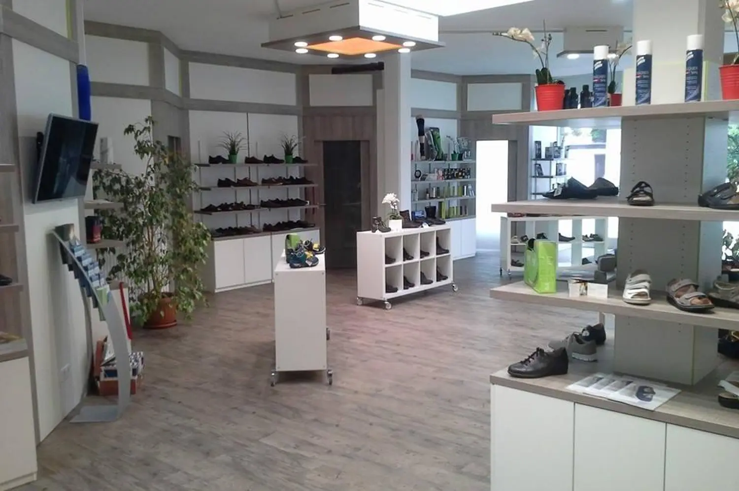 Beifuss & Fitim Haus Der Gesundheit Von Fuss&fit